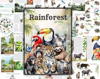 Rainforest unit study, Biome unit , Rainforest animals worksheets, Forest layers, sloth unit, toucan unit, tapir unit, giant anteater unit