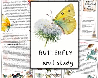 Butterfly unit study, Butterfly printable puzzle, Butterfly 3 part cards, Insects study, Summer activity