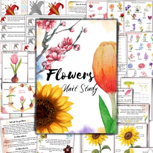 Flowers unit study,Parts of flower, sunflower life cycle, spring unit study,  Parts of tulip, life of tulip bulb, nature study, flower parts