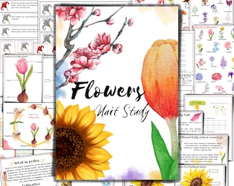 Flowers unit study,Parts of flower, sunflower life cycle, spring unit study,  Parts of tulip, life of tulip bulb, nature study, flower parts