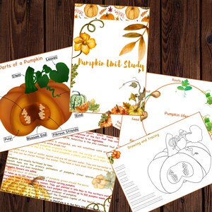 Pumpkin unit study printable, Pumpkin lifecycle, Parts of Pumpkin, Pumpkin 3 part cards, Pumpkin puzzle , Fall activity, Halloween activity image 4