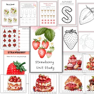 May include: A printable strawberry unit study for kids with activities like a big to small game, shape memory game, strawberry tracing, a word scoop, and a letter S dot-to-dot. The unit study also includes a strawberry-themed cake and a strawberry-themed croissant.
