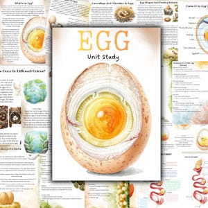 Puede incluir: Póster educativo titulado "EGG Unit Study" con ilustraciones de anatomía del huevo y temas relacionados. La imagen central es una sección transversal de un huevo, que muestra la yema, la clara y la cáscara. Páginas adicionales proporcionan información.