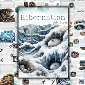 Hibernation unit study, Winter sleep unit study, Winter unit, Winter animals unit, Nature unit study, Winter printables, Winter activities