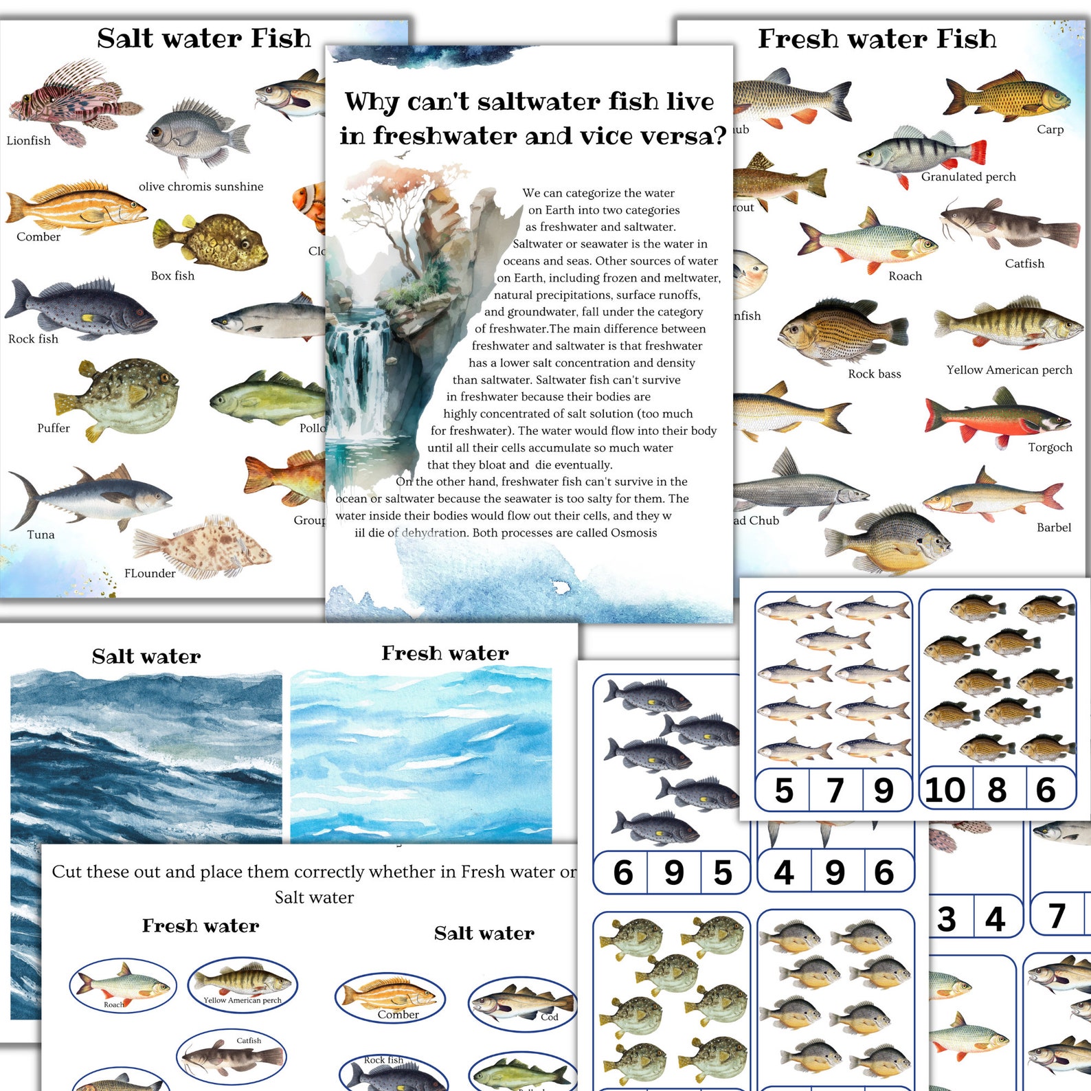 Fish Unit Study, Fish Printable Puzzle, Fish Activities, Shark Unit ...