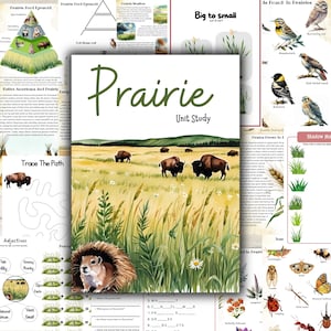 May include: A collection of educational materials for a prairie unit study. The central image features a watercolor illustration of bison grazing in a grassy field. Additional pages include diagrams, animal illustrations, and activity sheets for learning.