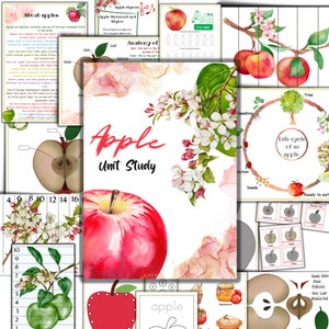 Apple unit study, apple anatomy, parts of an apple, apple printable activities, apple life cycle,