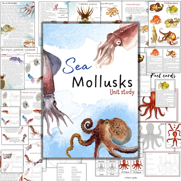 Mollusk unit study, octopus unit, squid unit, cuttlefish unit, sea animals activities, octopus activities, cuttlefish life cycle, Sea study