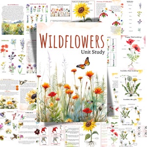 Unité d'étude fleurs sauvages, étude d'unité pollinisateurs, anatomie de la fleur, unité nature, école à la maison, fleurs sauvages à imprimer, activités de fleurs sauvages