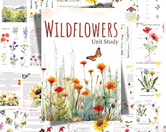 Wildflowers unit study, Pollinators unit study, Flower Anatomy, NAture unit, homeschool, wildflowers printable, Wildflowers activties