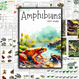 Étude d'unités d'amphibiens, Étude d'unités de grenouilles, Cartes en 3 parties de grenouilles, Anatomie de grenouilles, Unité de salamandres, Cycle de vie de grenouilles, Étude d'unités d'étang, Étude de la nature