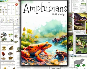 Amphibian unit study, Frogs unit study, Frogs 3 part cards, Frog anatomy, Salamander unit , Frog life cycle, Pond unit study, Nature study
