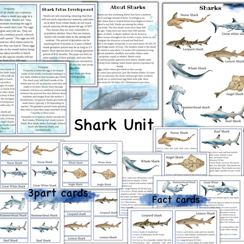 Fish Unit Study Fish Printable Puzzle Fish Activities Shark Etsy