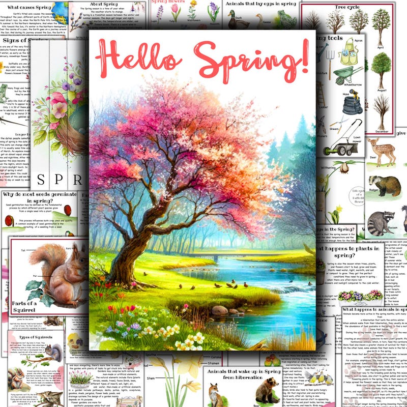 Signs of Spring Study - Etsy