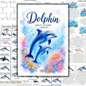 May include: A watercolor illustration of two blue dolphins swimming near coral and fish. The image is labeled "Dolphin Unit Study" with the text "@babykookoo". Various dolphin species are listed around the main image.