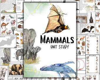 Mammals unit study, Elephant unit study, Bat unit study, Whale unit study, M0ntessori 3 part cards, elephant anatomy, bat anatomy, nature