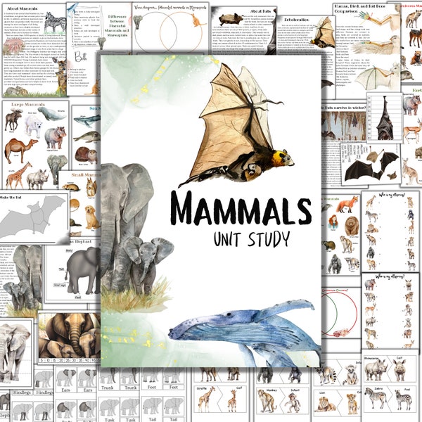 Mammals unit study, Elephant unit study, Bat unit study, Whale unit study, M0ntessori 3 part cards, elephant anatomy, bat anatomy, nature