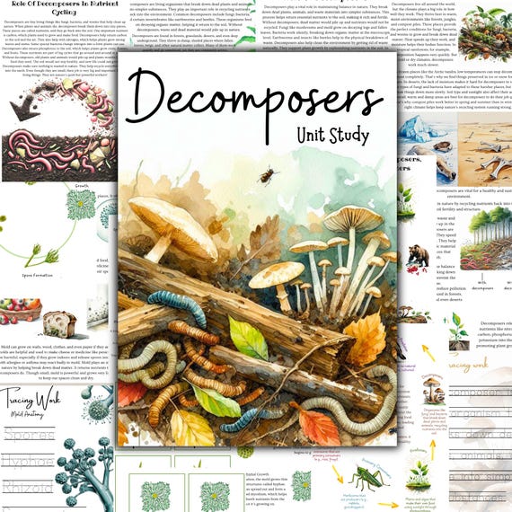 Decomposers unit study, Fungi unit, Nature study, Food chain, Ecology unit