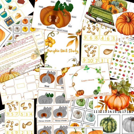 Pumpkin unit study printable, Pumpkin lifecycle, Parts of  Pumpkin, Pumpkin 3 part cards, Pumpkin puzzle , Fall activity, Halloween activity