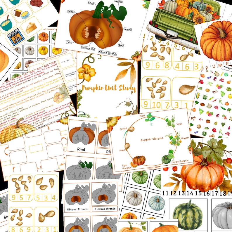 Pumpkin unit study printable, Pumpkin lifecycle, Parts of Pumpkin, Pumpkin 3 part cards, Pumpkin puzzle , Fall activity, Halloween activity image 1