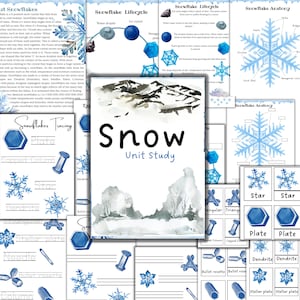 Onderzoek naar sneeuweenheden, afdrukbare winteractiviteit, anatomie van sneeuwvlokken, levenscyclus van sneeuwvlokken, onderzoek naar wintereenheden, soorten sneeuwvlokken