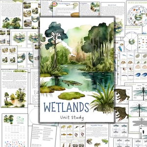 Pond unit study, wetlands unit, swamp unit, dragonfly unit study, pond nature study, charlotte mason homeschool, Duck life cycle, lake study