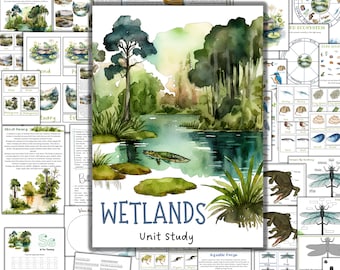 Pond unit study, wetlands unit, swamp unit, dragonfly unit study, pond nature study, charlotte mason homeschool, Duck life cycle, lake study