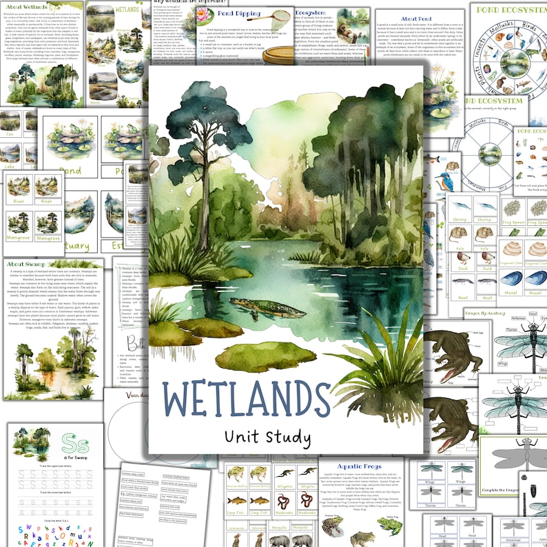 May include: Watercolor illustration of a wetland scene with a lake, trees, and an alligator. The image is part of a "Wetlands Unit Study" with educational content about ecosystems, aquatic life, and related topics. The image is surrounded by other educational materials.