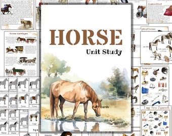 Estudio de unidad de caballos, tarjetas de 3 partes de caballos, actividades de caballos, educación en casa de caballos, anatomía de caballos, rompecabezas de caballos, coloración de caballos, familia de caballos
