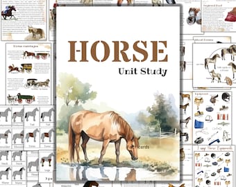 Horse unit study, Horse 3 part cards, Horse activities, Horse homeschool, Horse anatomy, Horse puzzle, Horse coloring, Horse family