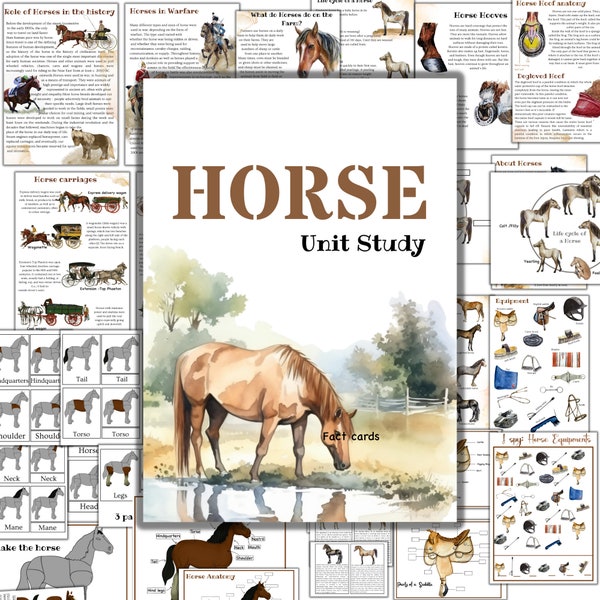 Horse unit study, Horse 3 part cards, Horse activities, Horse homeschool, Horse anatomy, Horse puzzle, Horse coloring, Horse family