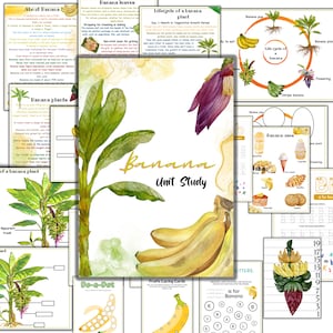 Banana unit study, banana life cycle , parts of  Banana plant, Banana printable activities, fruits unit study