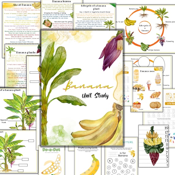 Banana Unit Study, Banana Life Cycle , Parts of Banana Plant, Banana  Printable Activities, Fruits Unit Study - Etsy