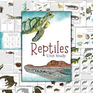 Estudio de unidad de reptiles, estudio de unidad de cocodrilo, estudio de unidad de tortuga, actividades de reptiles, rompecabezas montessori de tortuga, tarjetas montessori de 3 partes de tortuga