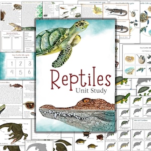 Reptiles unit study, Crocodile unit study, Turtle unit study, reptiles  activities, turtle montessori puzzle, montessori 3 part cards turtle