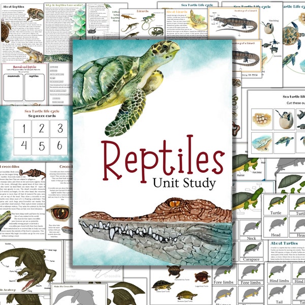 Étude d'unité de reptiles, étude d'unité de crocodile, étude d'unité de tortue, activités de reptiles, puzzle montessori de tortue, tortue de cartes de 3 parties de montessori