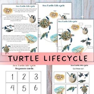 Op de afbeelding: Educatieve printables met de levenscyclus van zeeschildpadden. Bevat illustraties van eieren, jongen en volwassen schildpadden, plus volgkaarten genummerd 1-6. De titel "TURTLE LIFECYCLE" wordt in roze weergegeven.