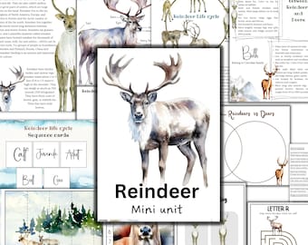 May include: A watercolor illustration of a reindeer with a brown body and antlers. The image is part of a larger set of educational materials about reindeer, including a life cycle chart, a reindeer anatomy diagram, and a Venn diagram comparing reindeer and deer. The text "Reindeer Mini Unit" is printed in brown letters on a white background.