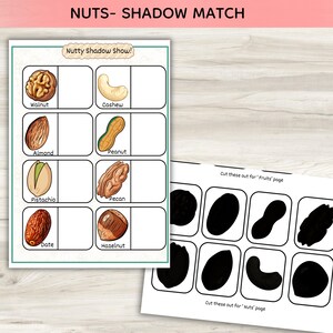May include: A printable educational activity sheet titled Nutty Shadow Show featuring illustrations of a walnut, cashew, almond, peanut, pistachio, pecan, date, and hazelnut with corresponding black silhouettes to cut out for a matching game.