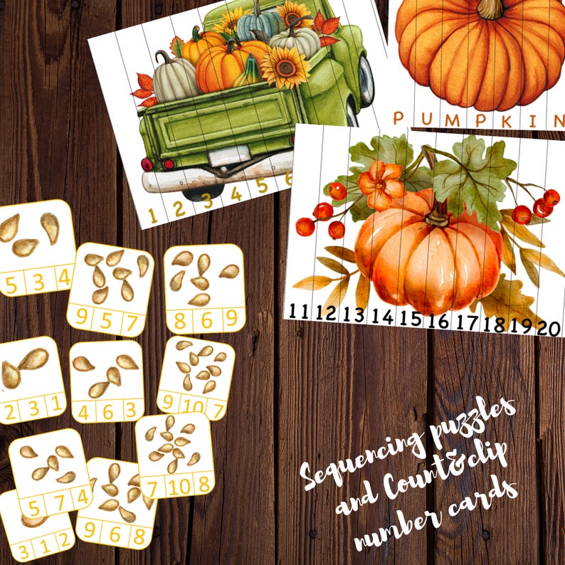 Pumpkin unit study printable, Pumpkin lifecycle, Parts of Pumpkin, Pumpkin 3 part cards, Pumpkin puzzle , Fall activity, Halloween activity image 7