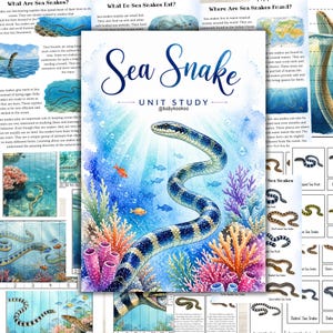 以下が含まれることがあります： 「Sea Snake Unit Study」と題された、海ヘビのイラストが描かれたカラフルな教育ポスター。サンゴや魚がいる水中シーンが描かれています。ポスターには、ウミヘビとその生息地に関するテキストが含まれています。