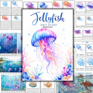 Może przedstawiać: Akwarelowa ilustracja meduzy z niebiesko-różową kopułą i płynącymi mackami. Wyświetlany jest tekst "Jellyfish UNIT STUDY @babykookoo". Dołączono dodatkowe obrazy meduz i scen oceanicznych.