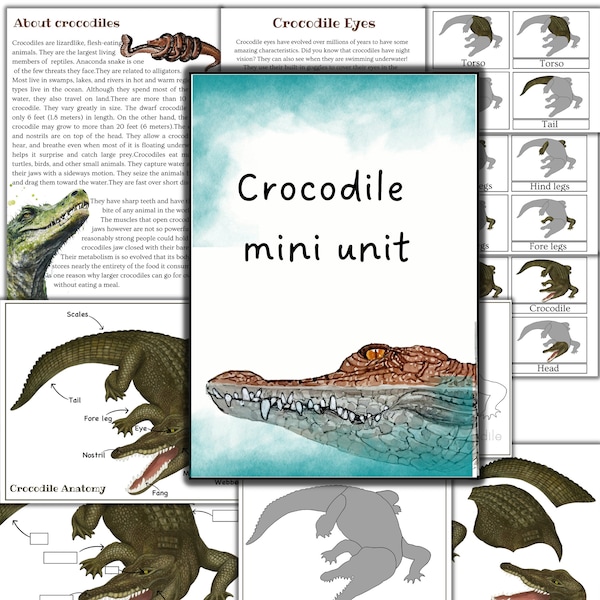 Crocodile mini unit study, crocodile puzzle printable, crocodile activities printable, Reptiles activities