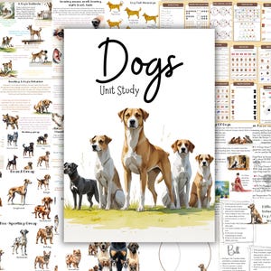DOGS unit study, Canine unit study, Dog printables, Dogs worksheets, Pets unit study, Dog breeds