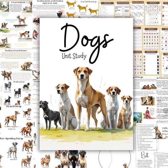 DOGS unit study, Canine unit study, Dog printables, Dogs worksheets, Pets unit study, Dog breeds