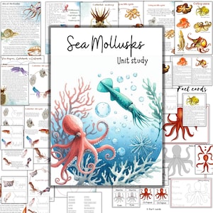 Mollusk unit study, octopus unit, squid unit, cuttlefish unit, sea animals activities, octopus activities, cuttlefish life cycle, Sea study