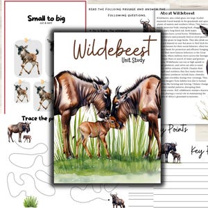 Może przedstawiać: Edukacyjne studium jednostkowe o gnu. Obraz przedstawia akwarelową ilustrację rodziny gnu, wraz ze stronami z ćwiczeniami dla dzieci. Tekst zawiera "Small to Big" i "Trace the path".