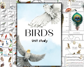 Birds unit study, Bird anatomy, Bird montessori 3 part cards, Owl unit study, Spring activities, backyard birds, Birds of prey, exotic birds