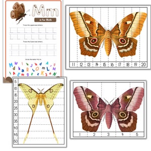 Moth Tracing Moth Unit Study, Luna Moth Printable Puzzle, Luna Moth 3 Part Cards ...