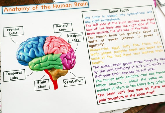 Kid-Made Holiday Gift Bags - Left Brain Craft Brain